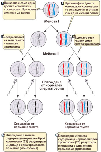 aneuploidy350