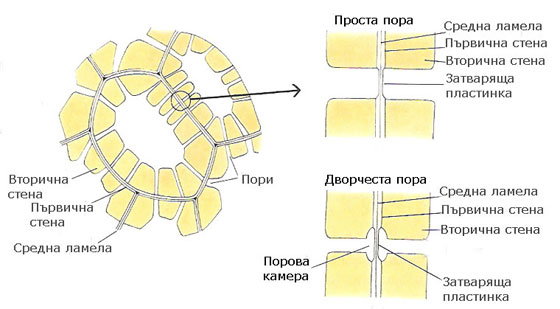 pori_pr_dv_560