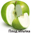 apple_110