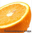 orange_110